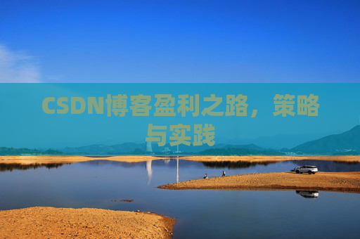 CSDN博客盈利之路，策略与实践
